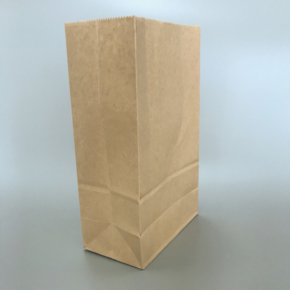 100pcs Kantong Kertas Kraft Uk - Food Storage And ulasan dan harga