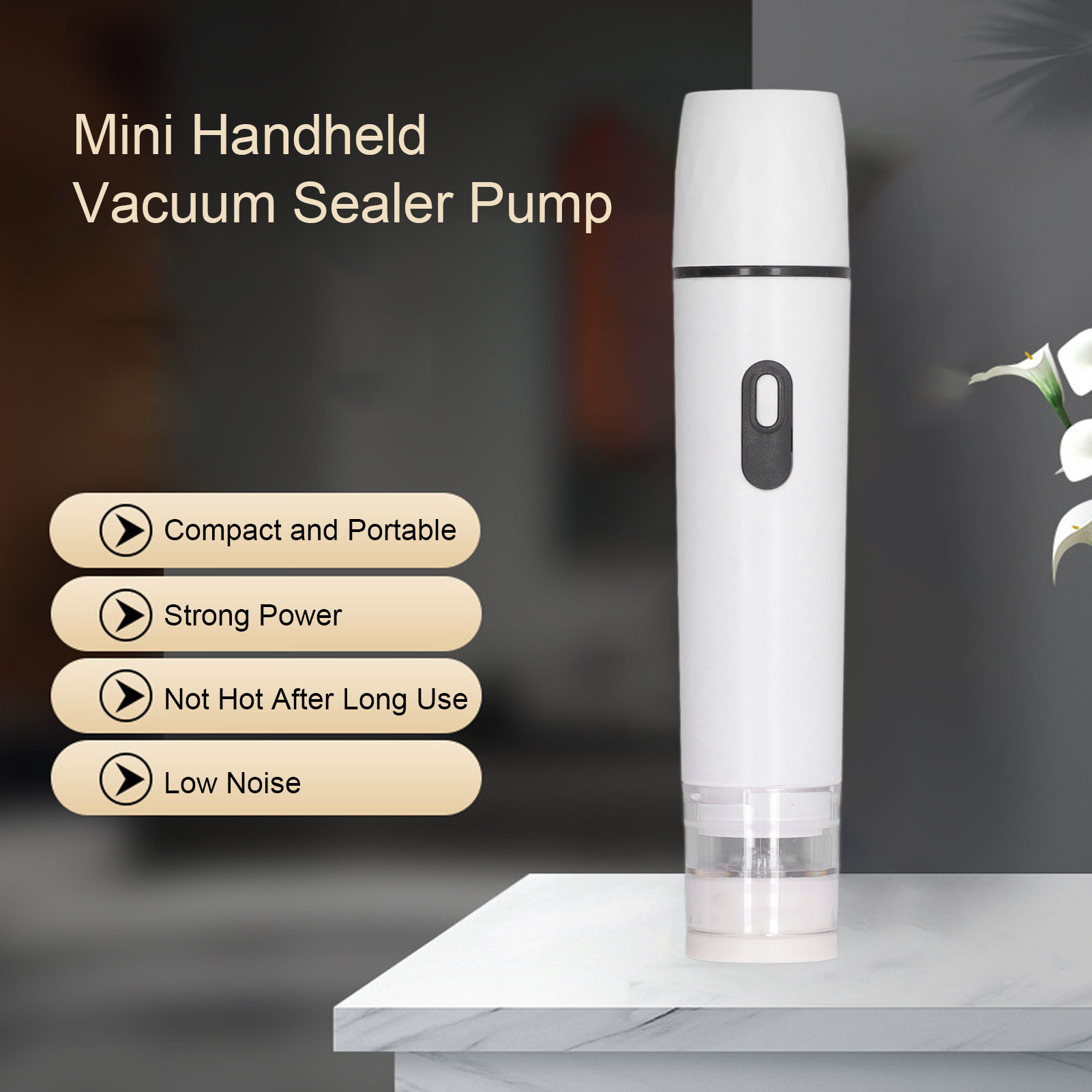 Pompa Udara Listrik Penyegel V - Food Storage Vacuum ulasan dan harga