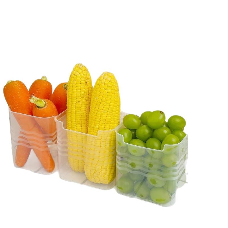 # Kotak Penyimpanan Makanan Ku - Food Storage Plastic Container ulasan dan harga