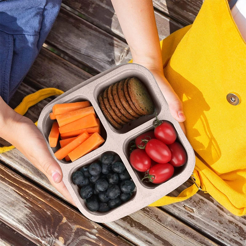 Kotak penyimpanan makanan 4 ki - Food Storage Plastic Boxes ulasan dan harga