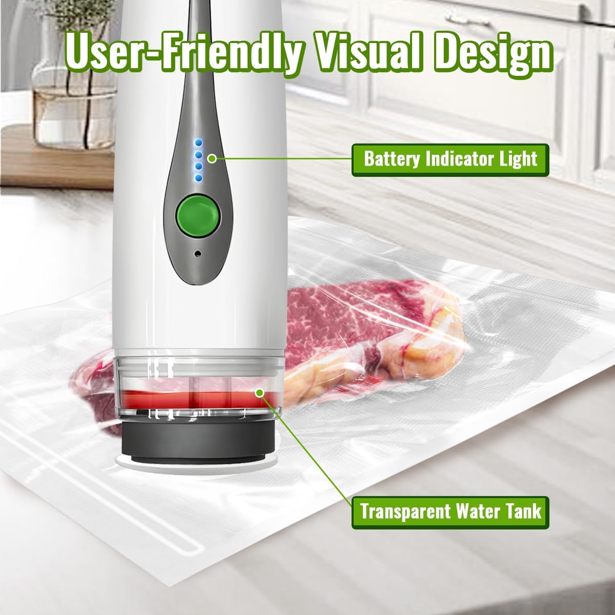 Mesin Pengemas Vakum Mini Otom - Food Storage Vacuum ulasan dan harga